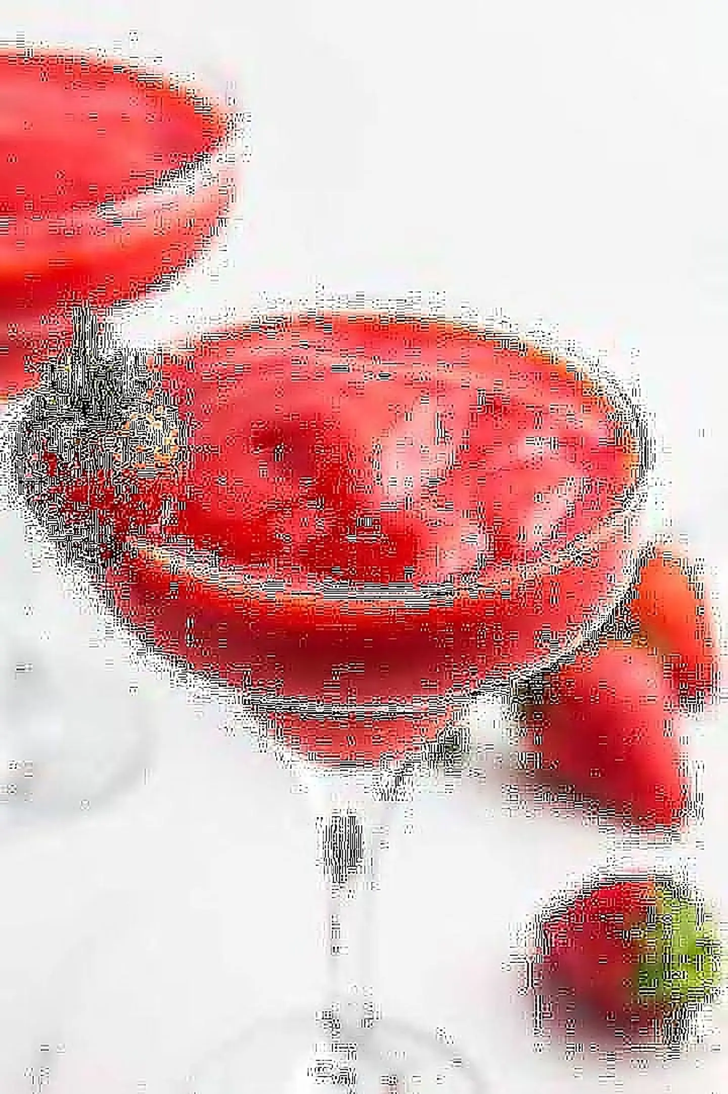 Strawberry Daiquiri