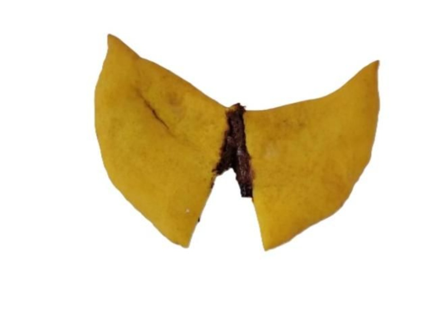 كباجي نوتيلا