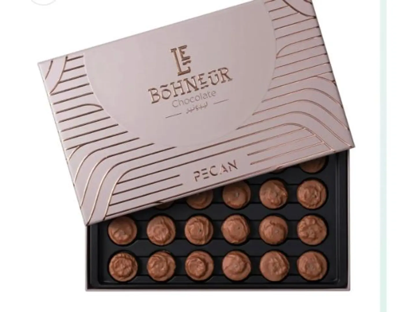 ليبونير بيكان كبير