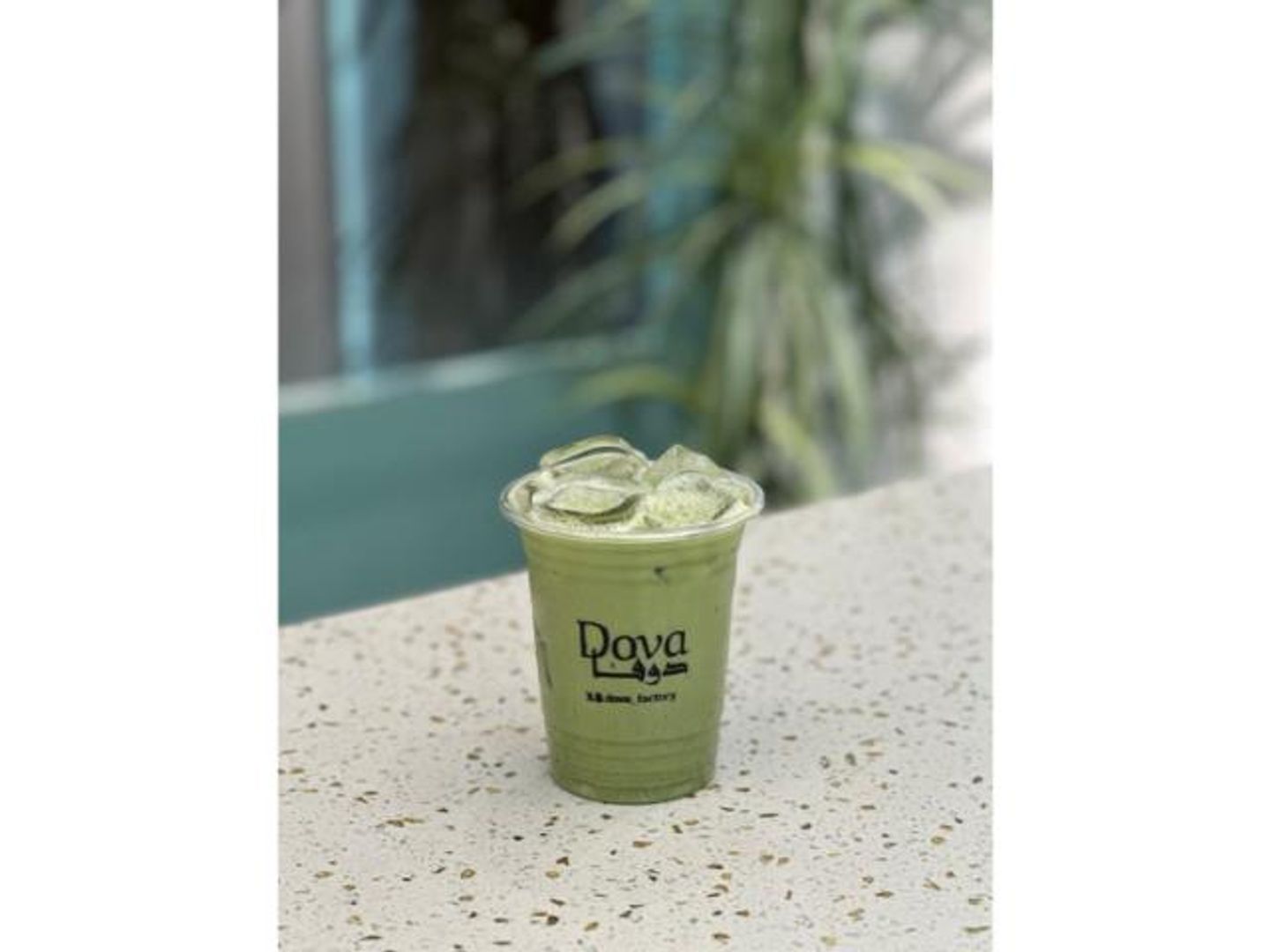 Iced Matcha Tea