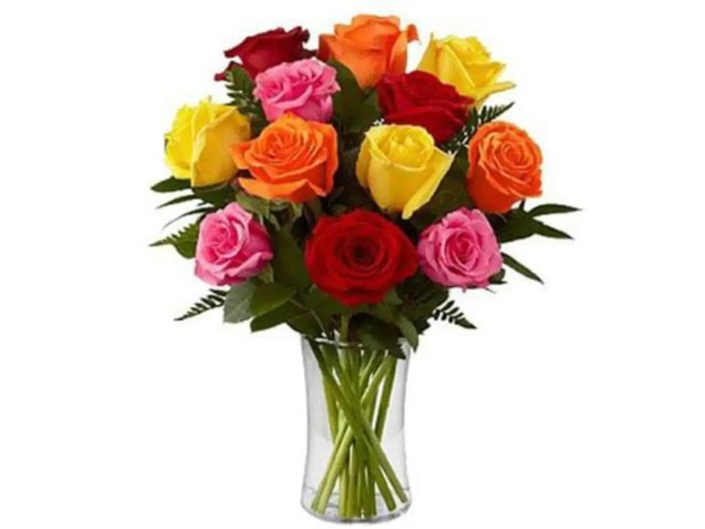 فازة جوري مشكل