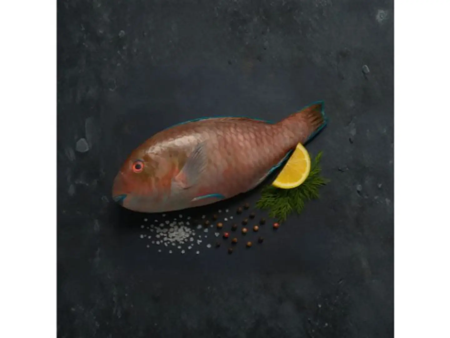 Harid Fish Kilogram
