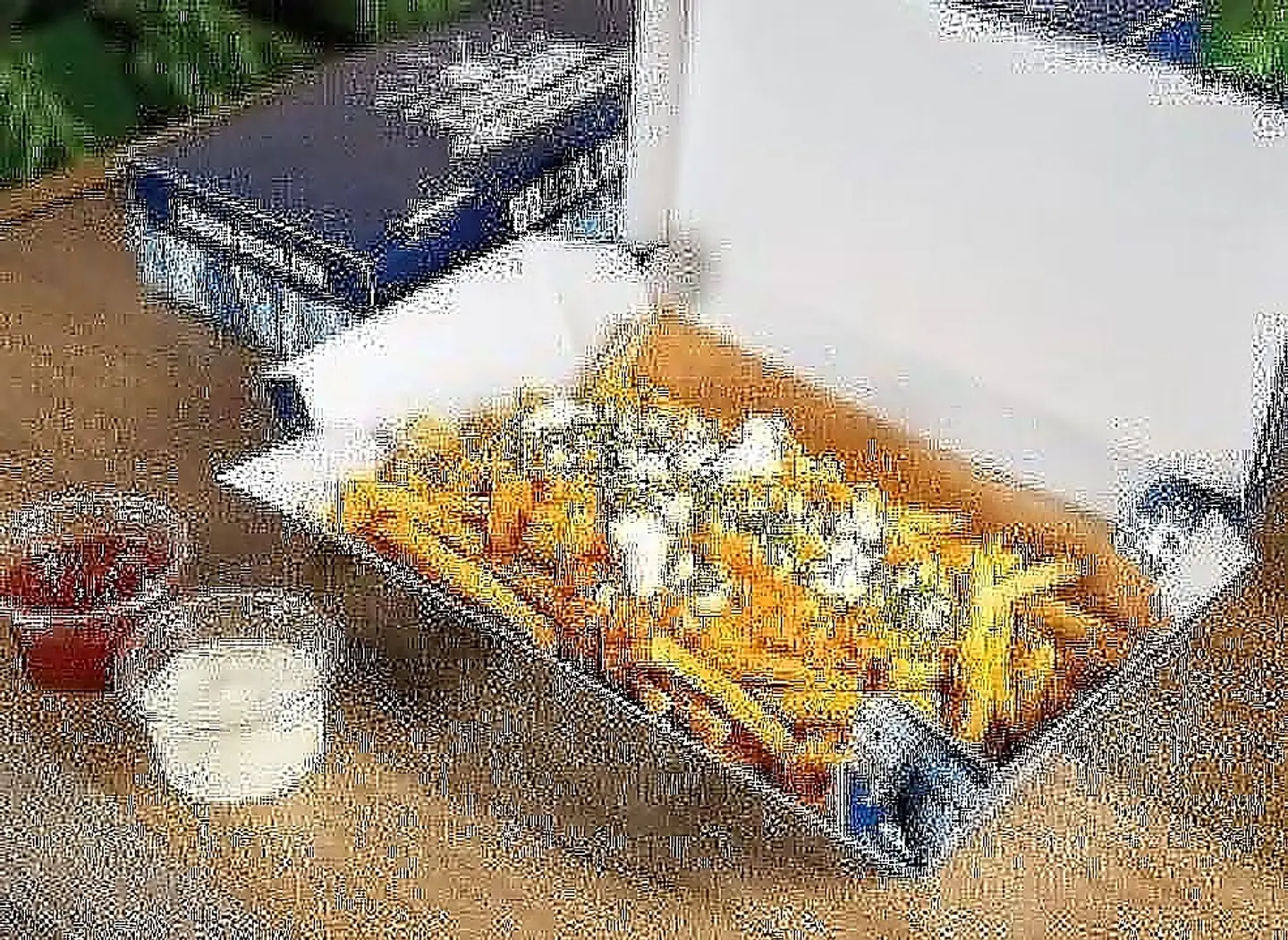 » إسكويت « بطاطس