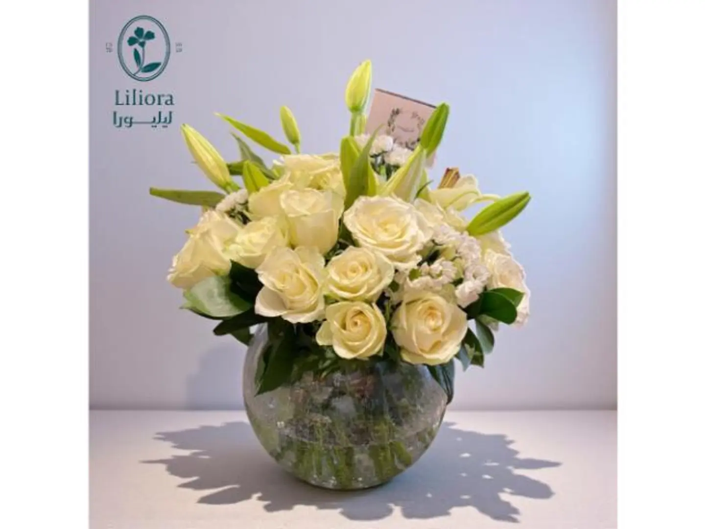 فازه ورد ايليقنت بيرل