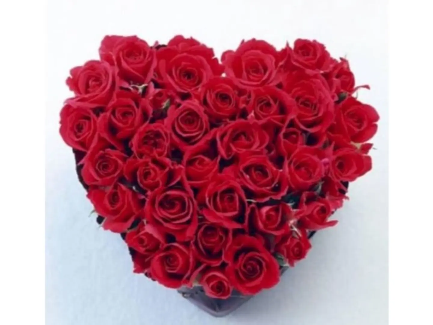 Red Rose Heart - Medium Red Rose Heart