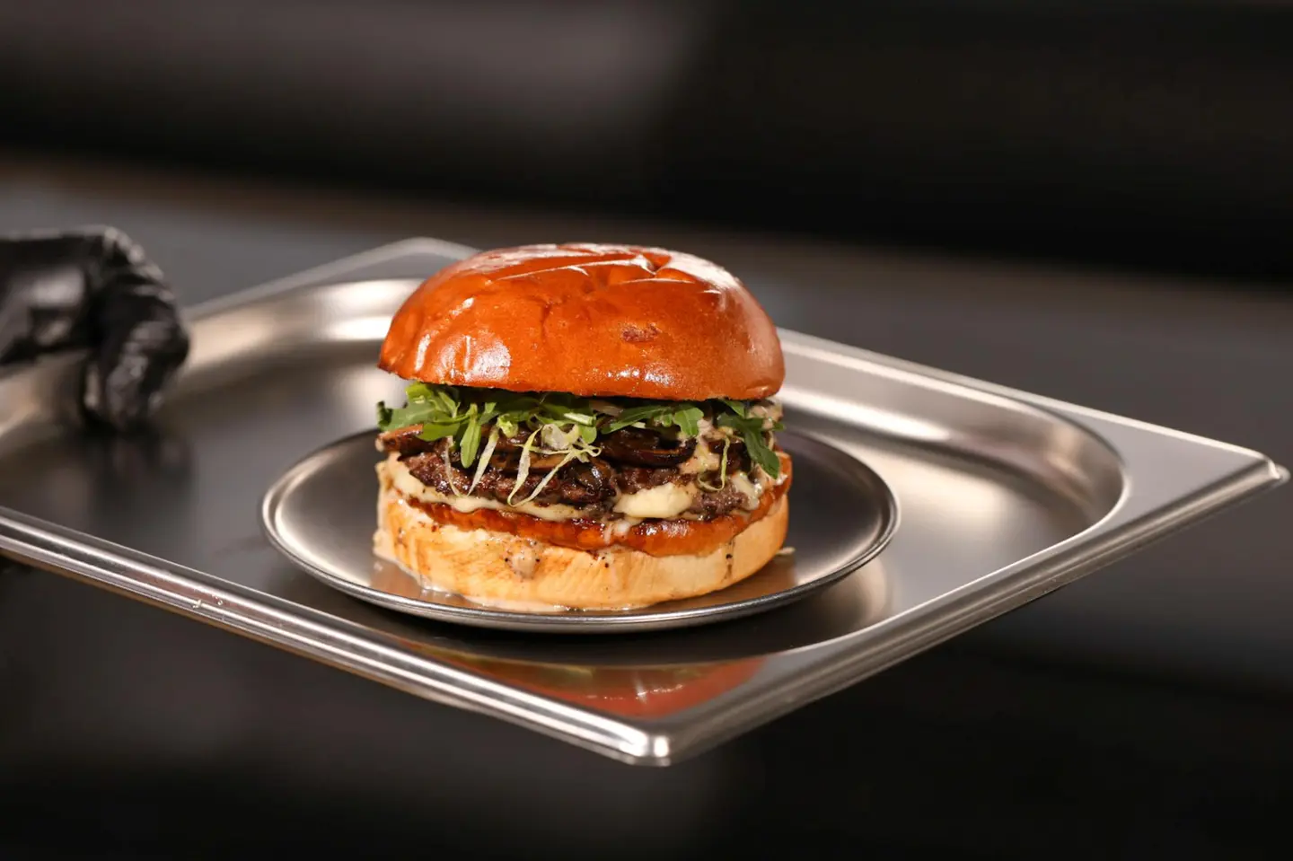 بلاك ترفل بي بي