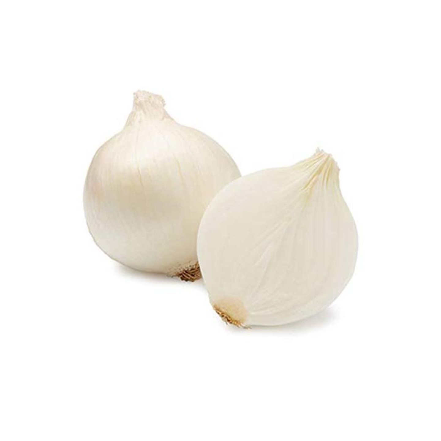 بصل أبيض كيلو