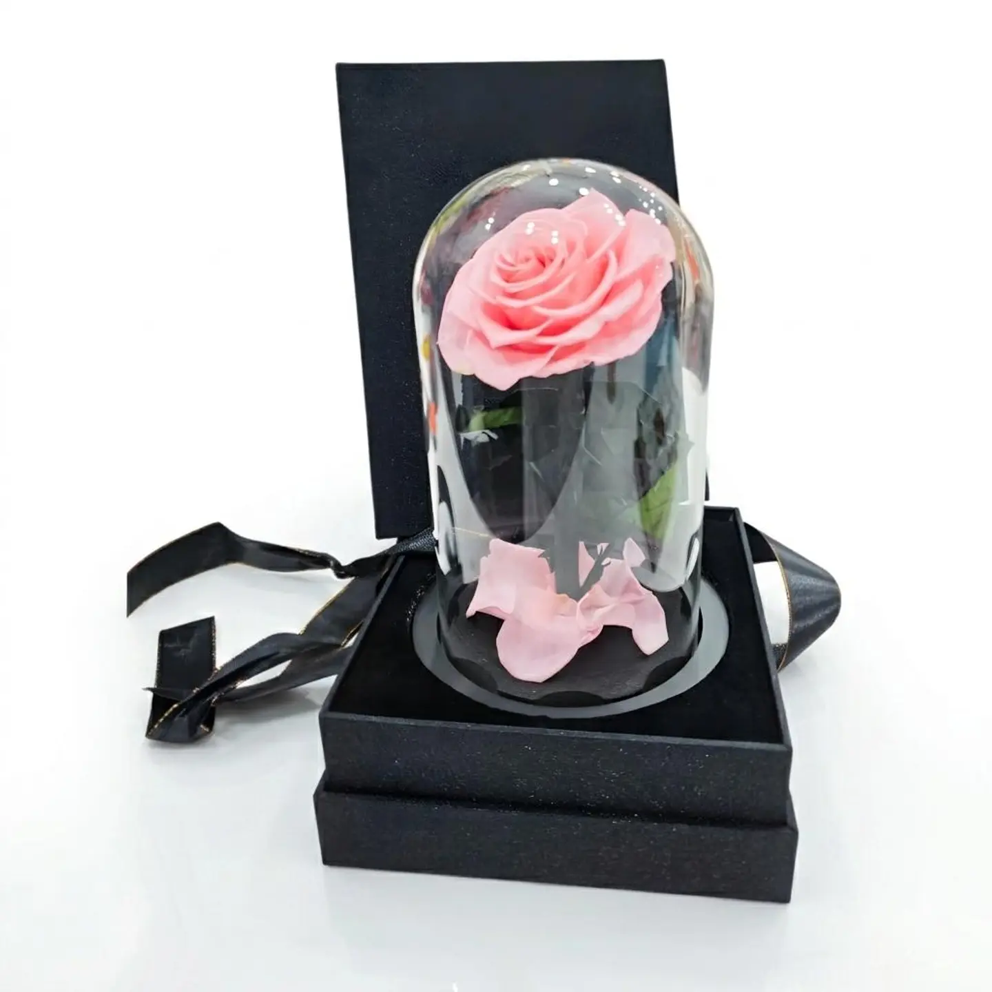Eternal Rose ( Pink )