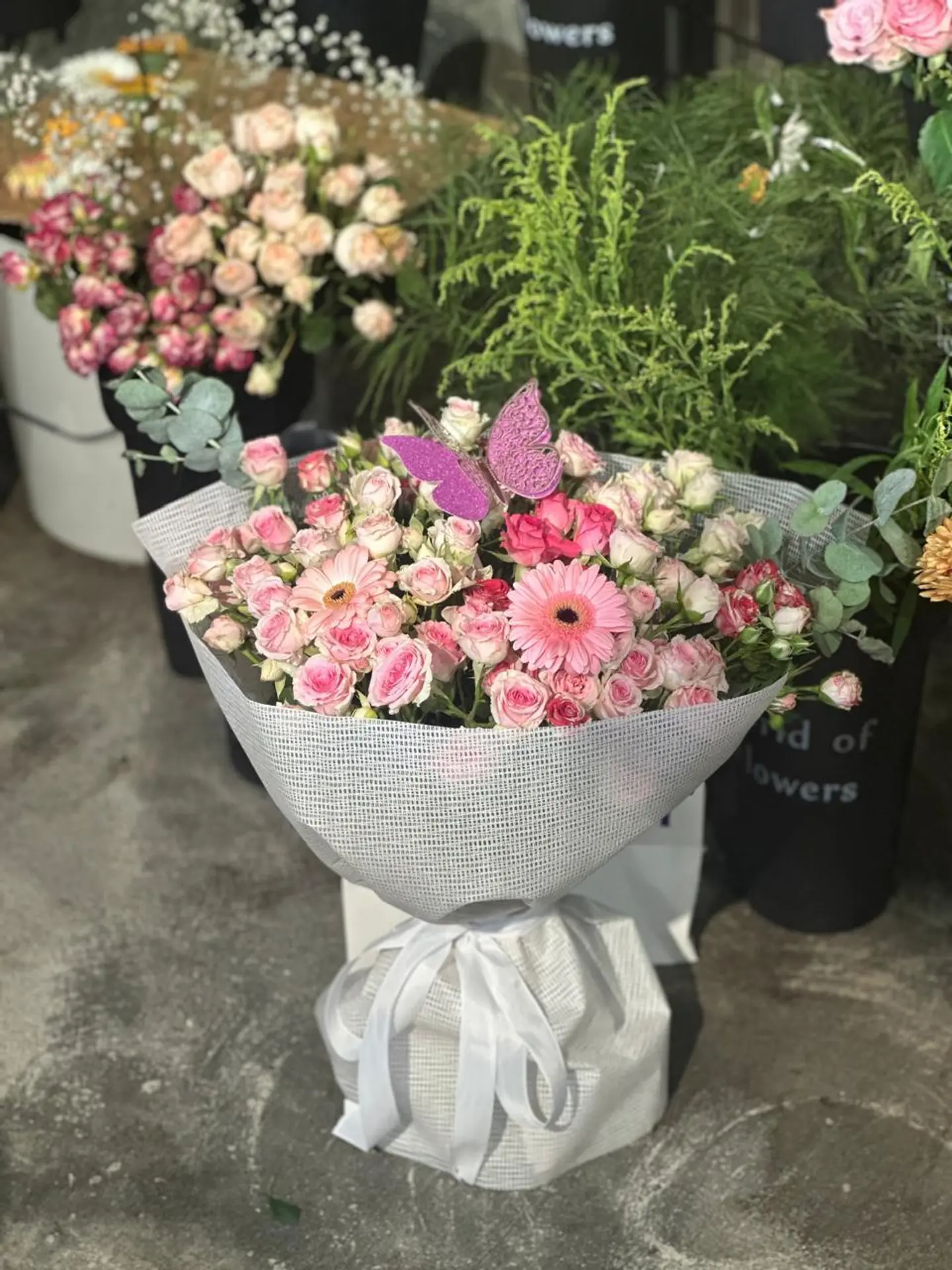 باقه الجلبيرا