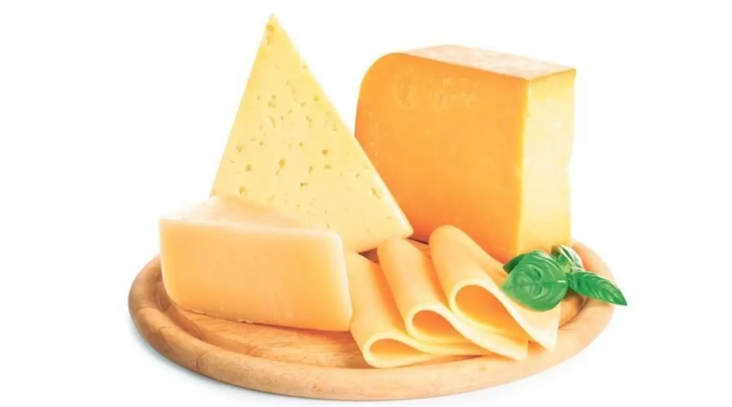 Cheese
