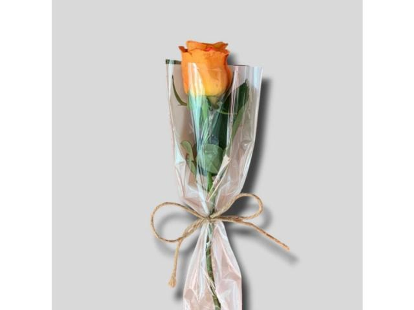 ورد اورنج للتوزيع