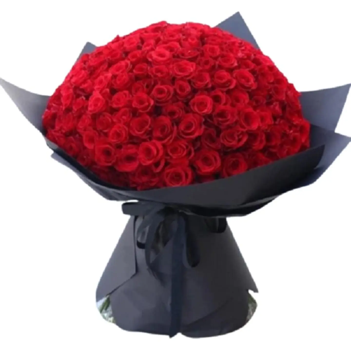 عاشق مجنون
