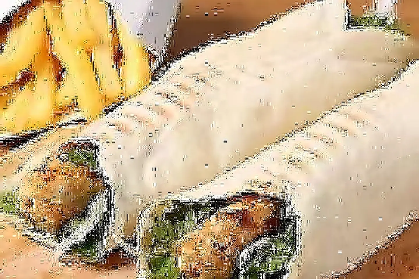 ساندوتش ميني كباب دجاج
