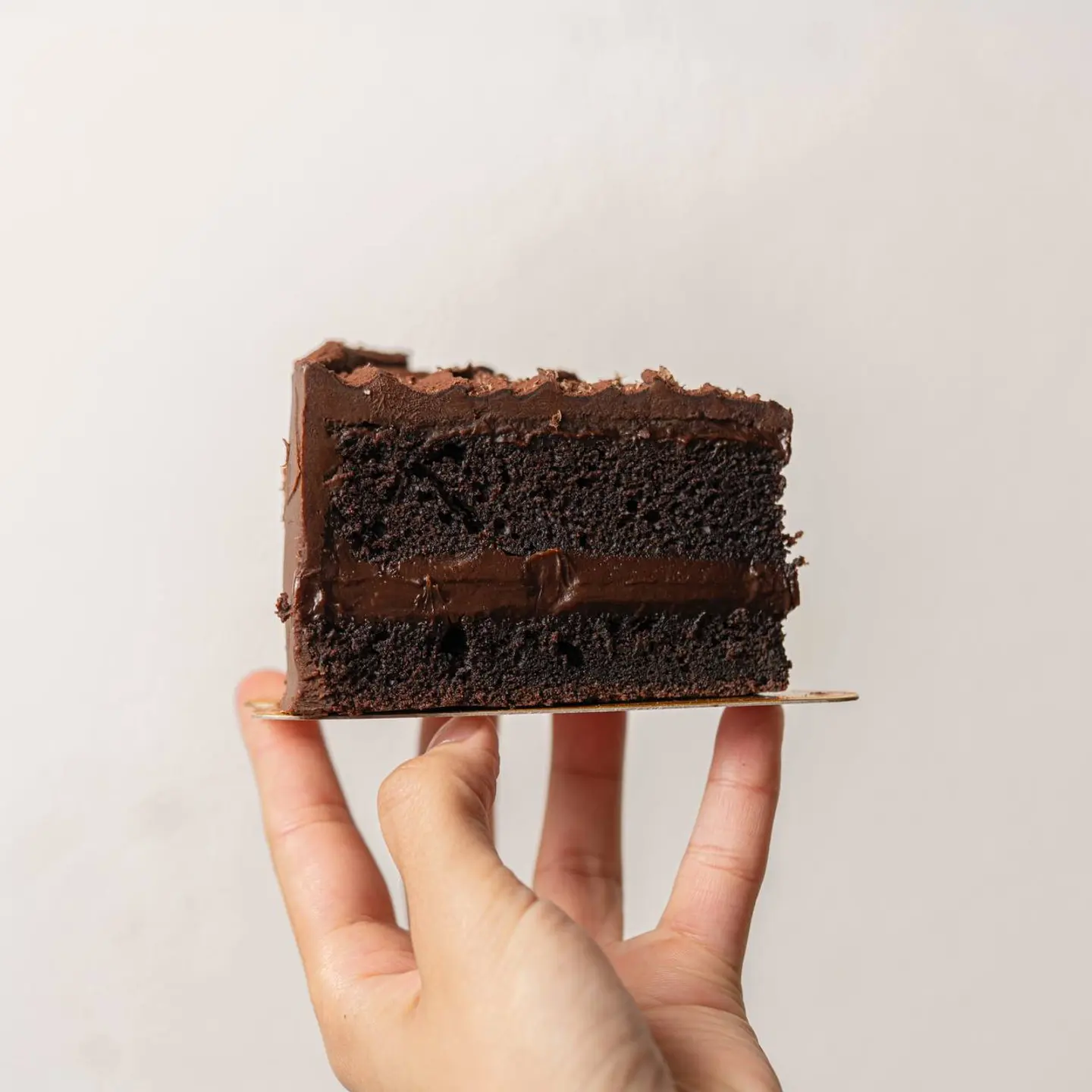 Chocolate Cake Peice - Slice