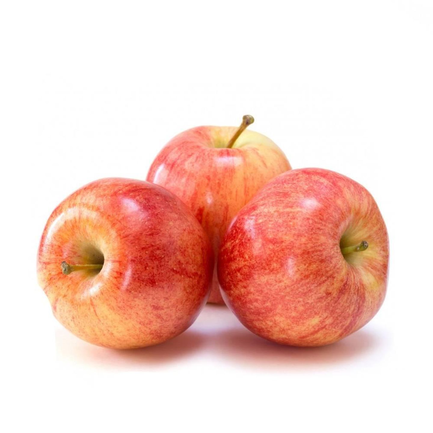 Apple Gala
