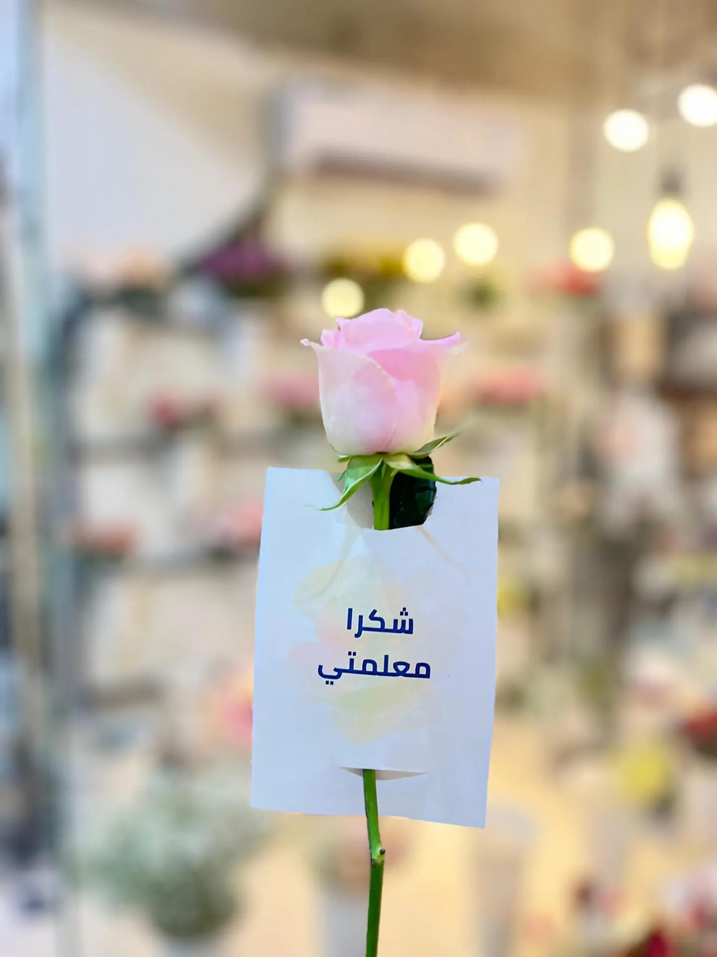 تاق شكرا معلمتي ساده