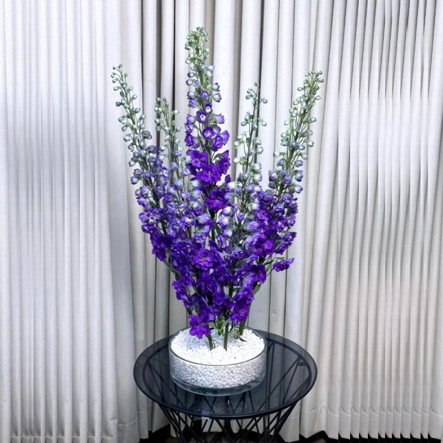 زهور مبتسمة في الحقيبة