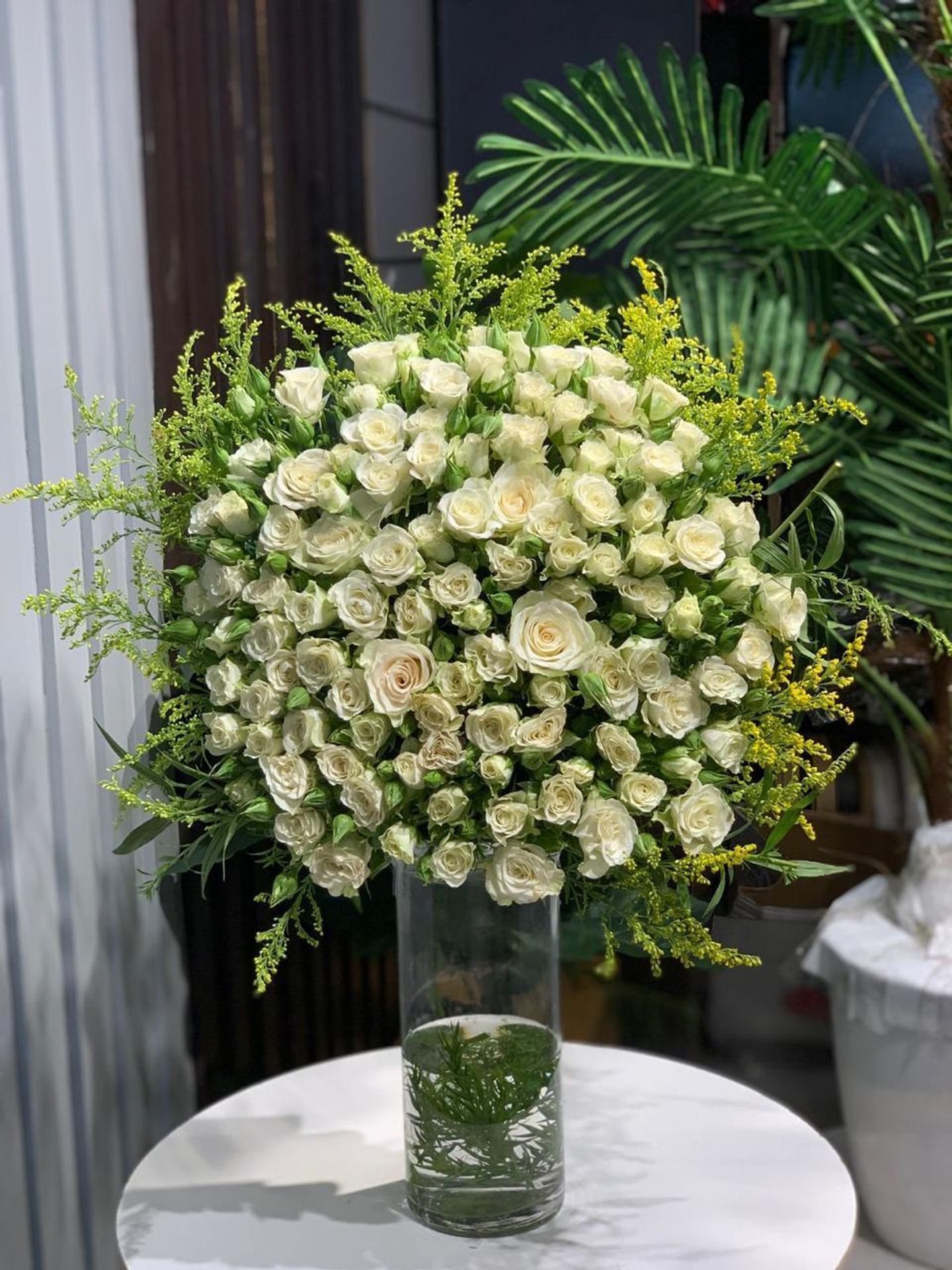 فازة الغرام