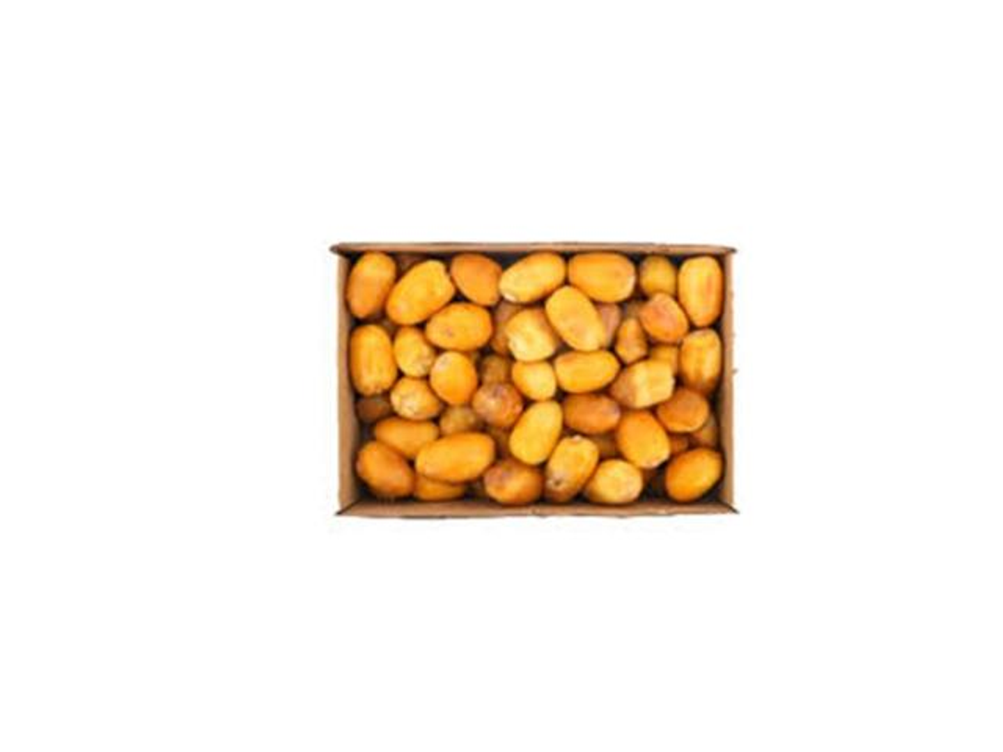 رطب اخلاص