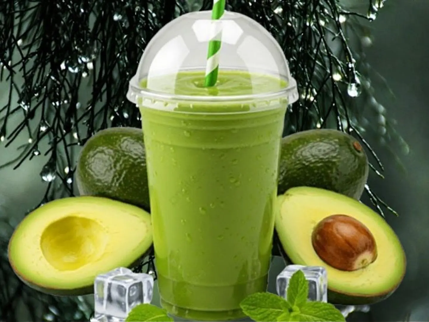 Fresh Avocado Juice (Medium)