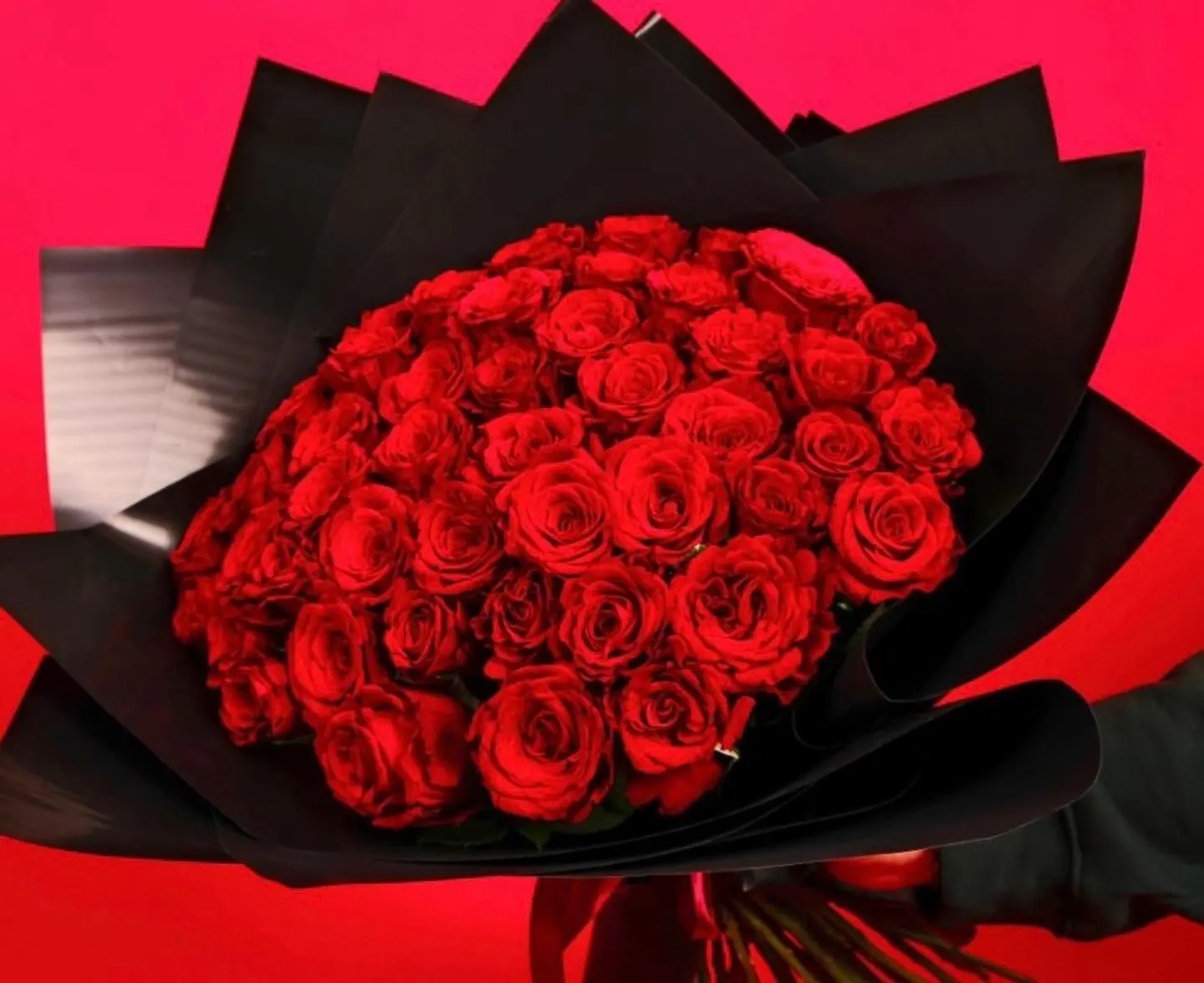 باقه احمر ساميه 7