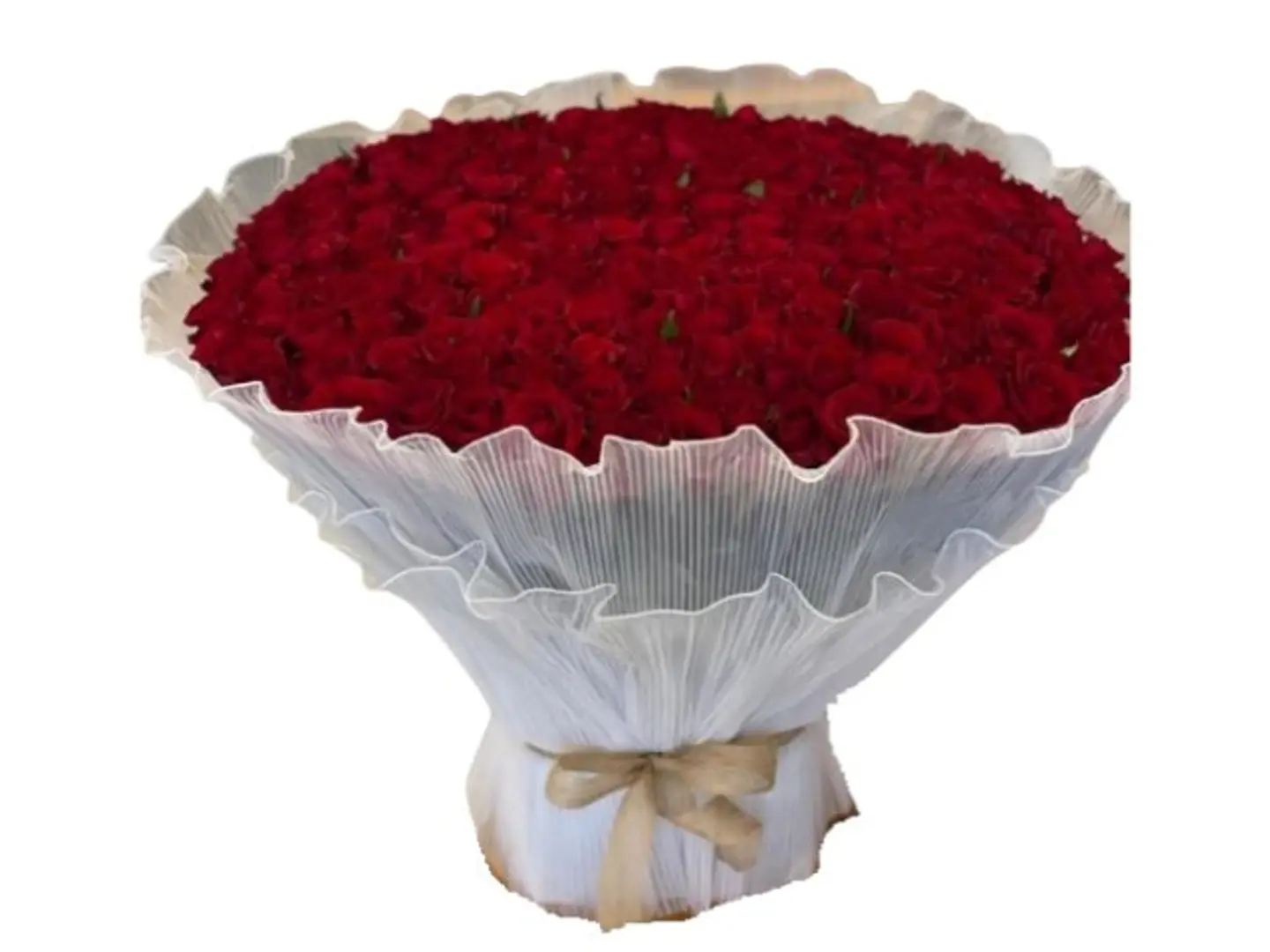 200 جامبو