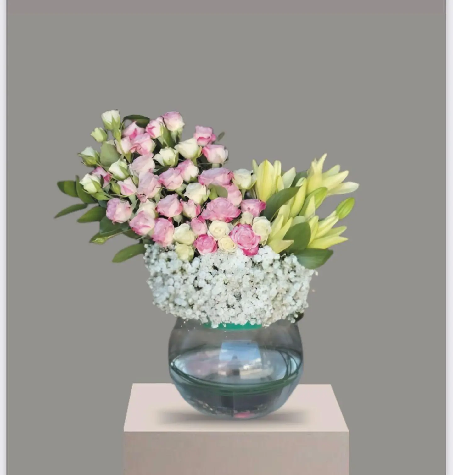 فازه ورد اليليوم ١٠