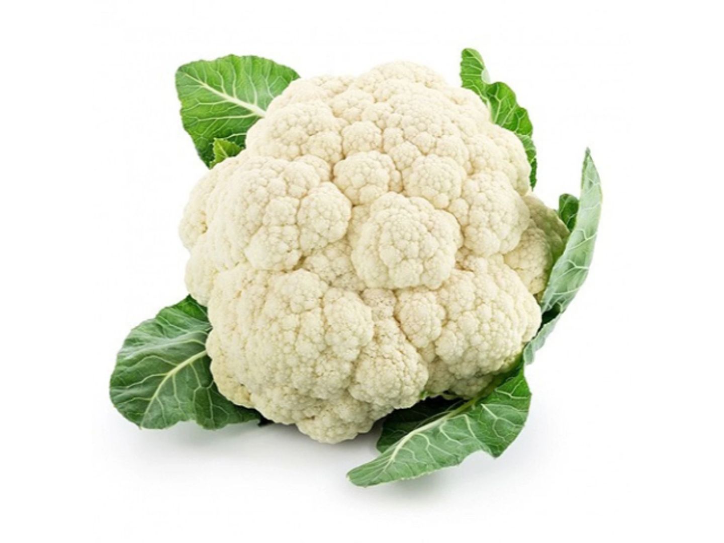 زهرة كيلو