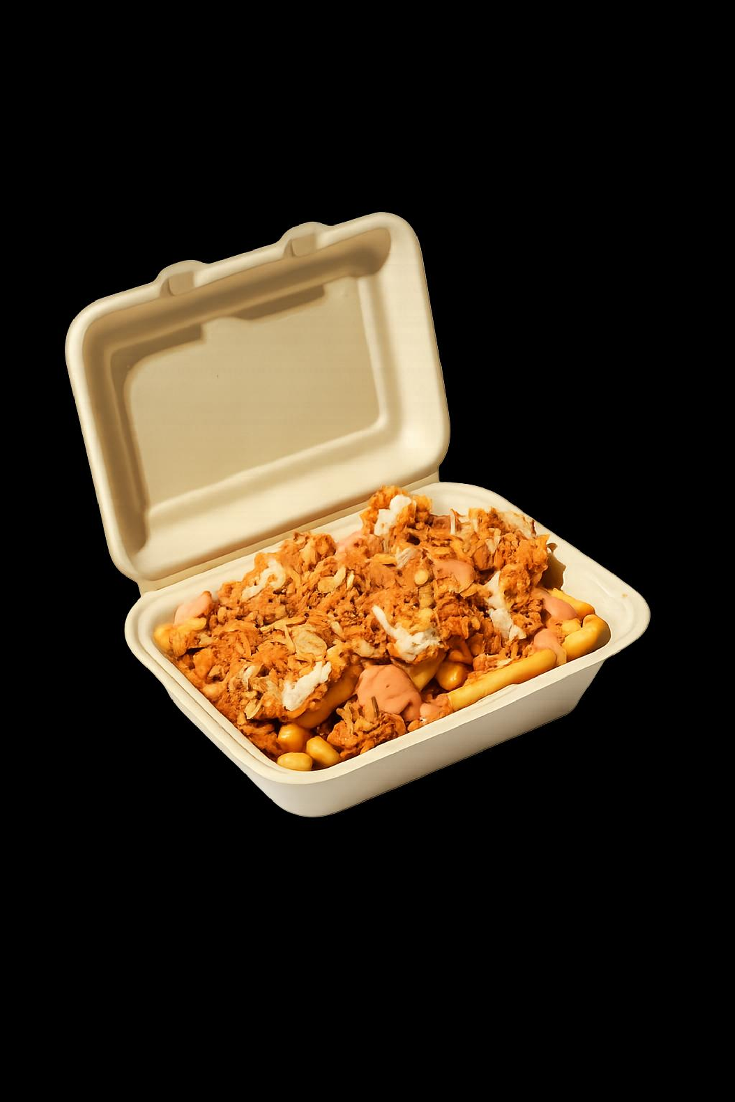 Rush Fries With Chicken