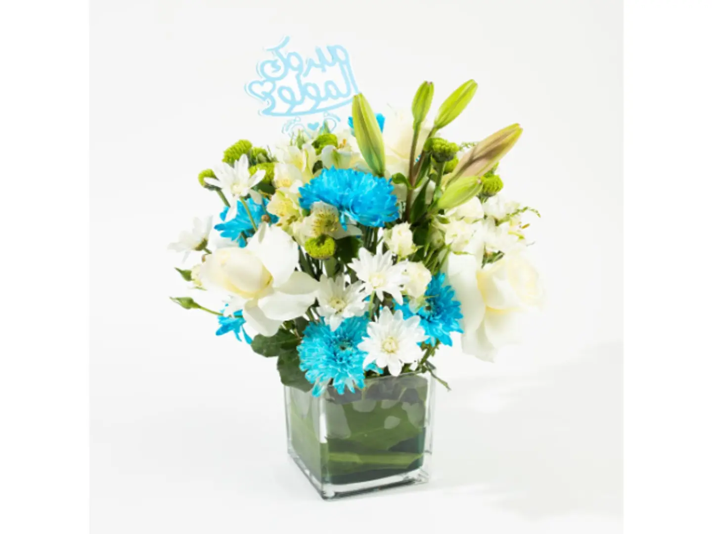 Newborn Vase Boy