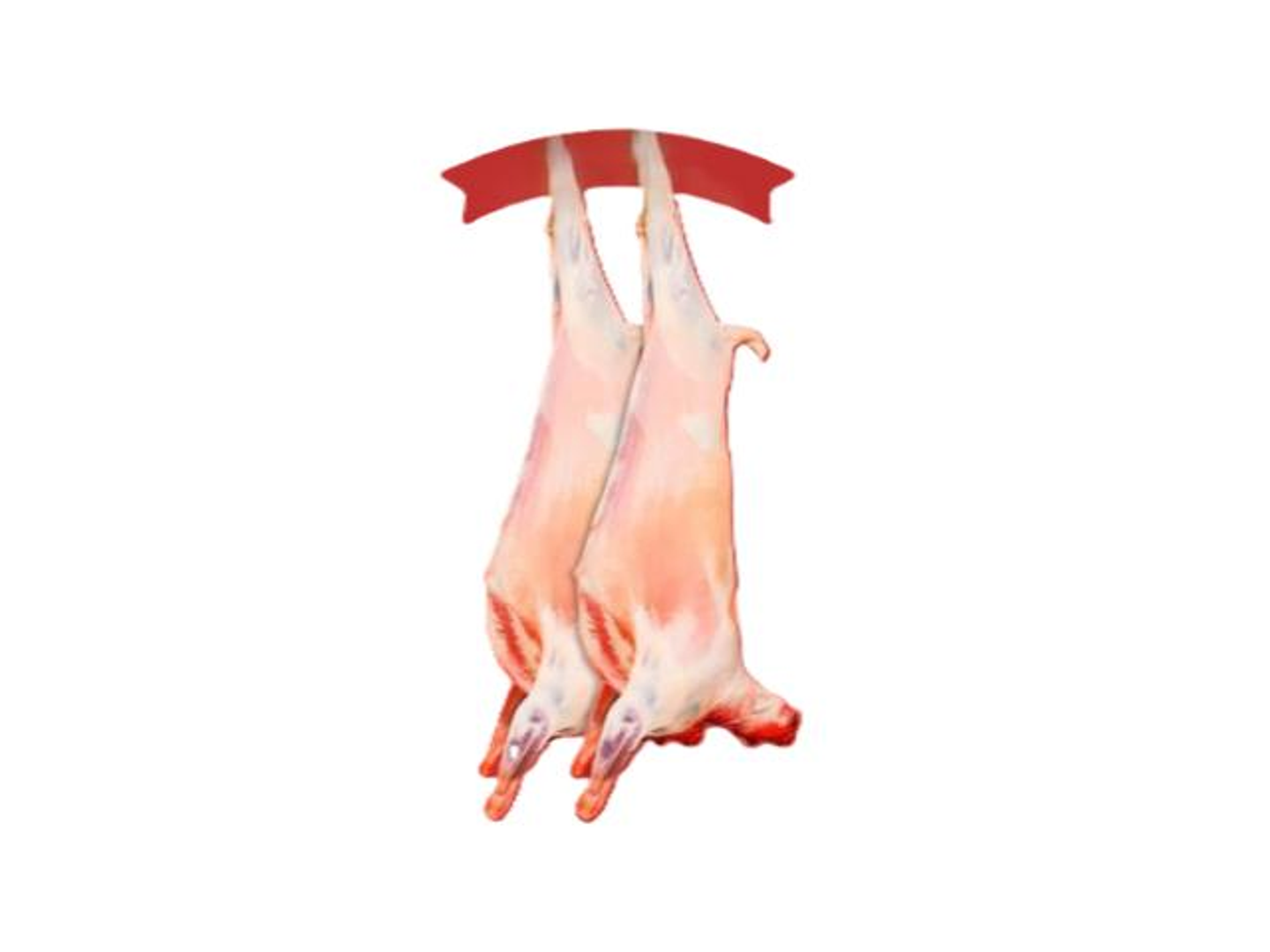 Two Boxes Of Labani 6 Kg + 6 Kg Refrigerated Cut
