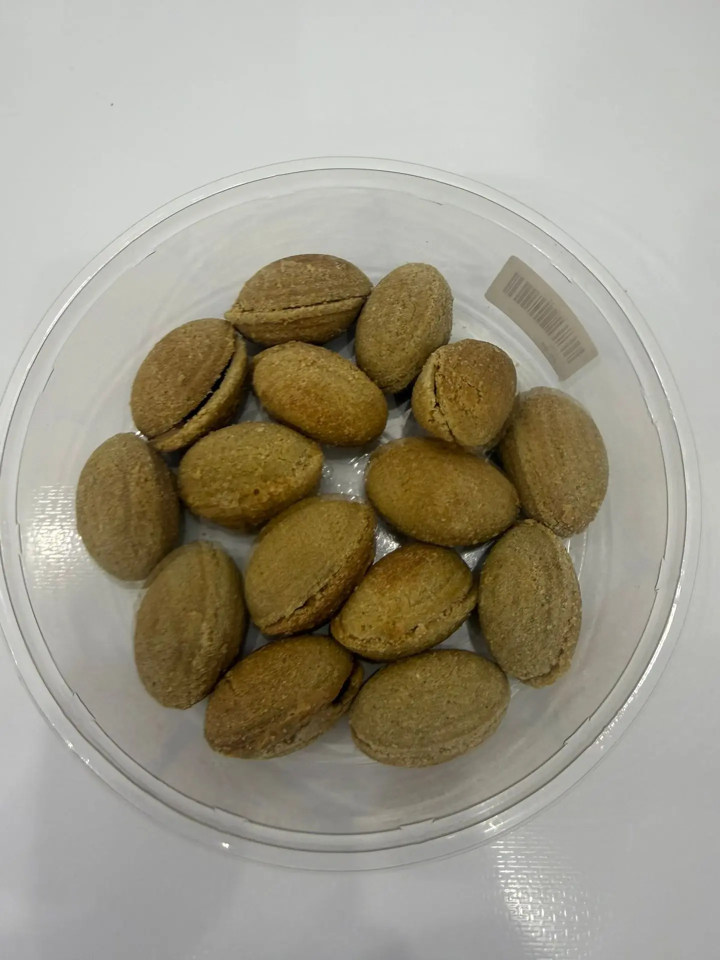 جوزيه عين الجمل بر