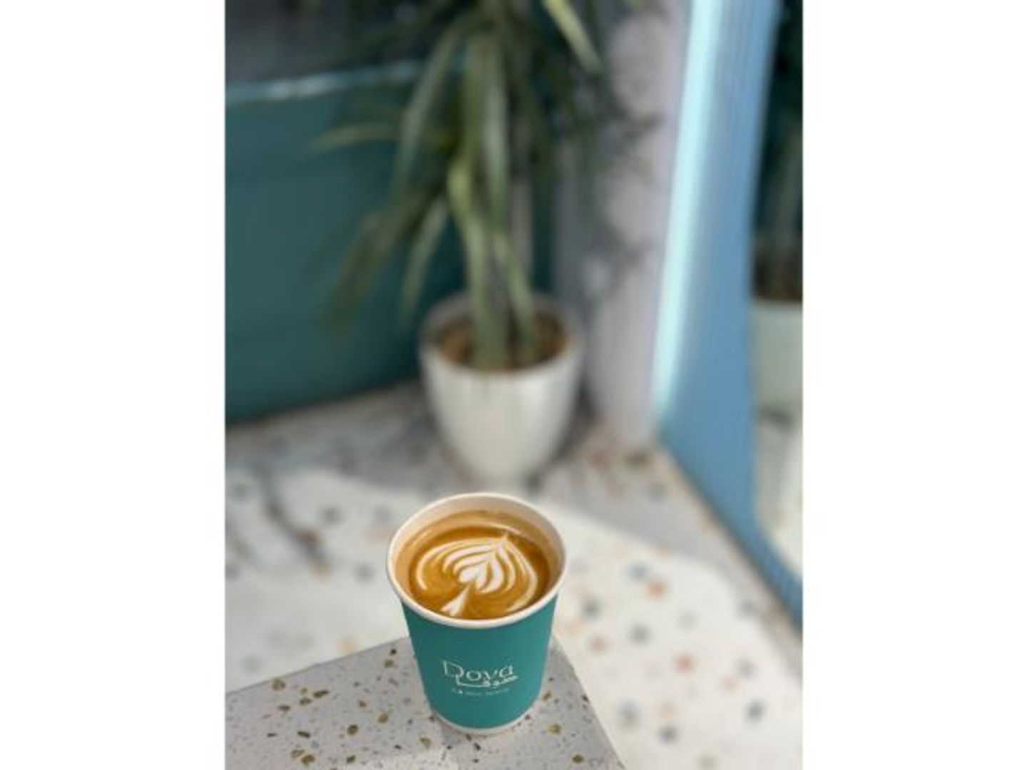 Flat White