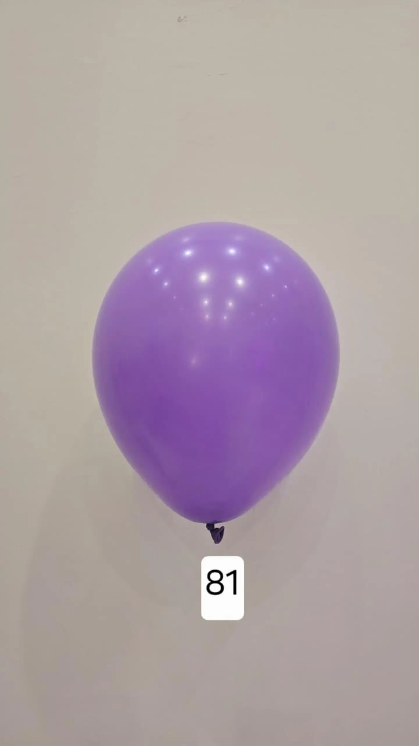 Balloon Number 81