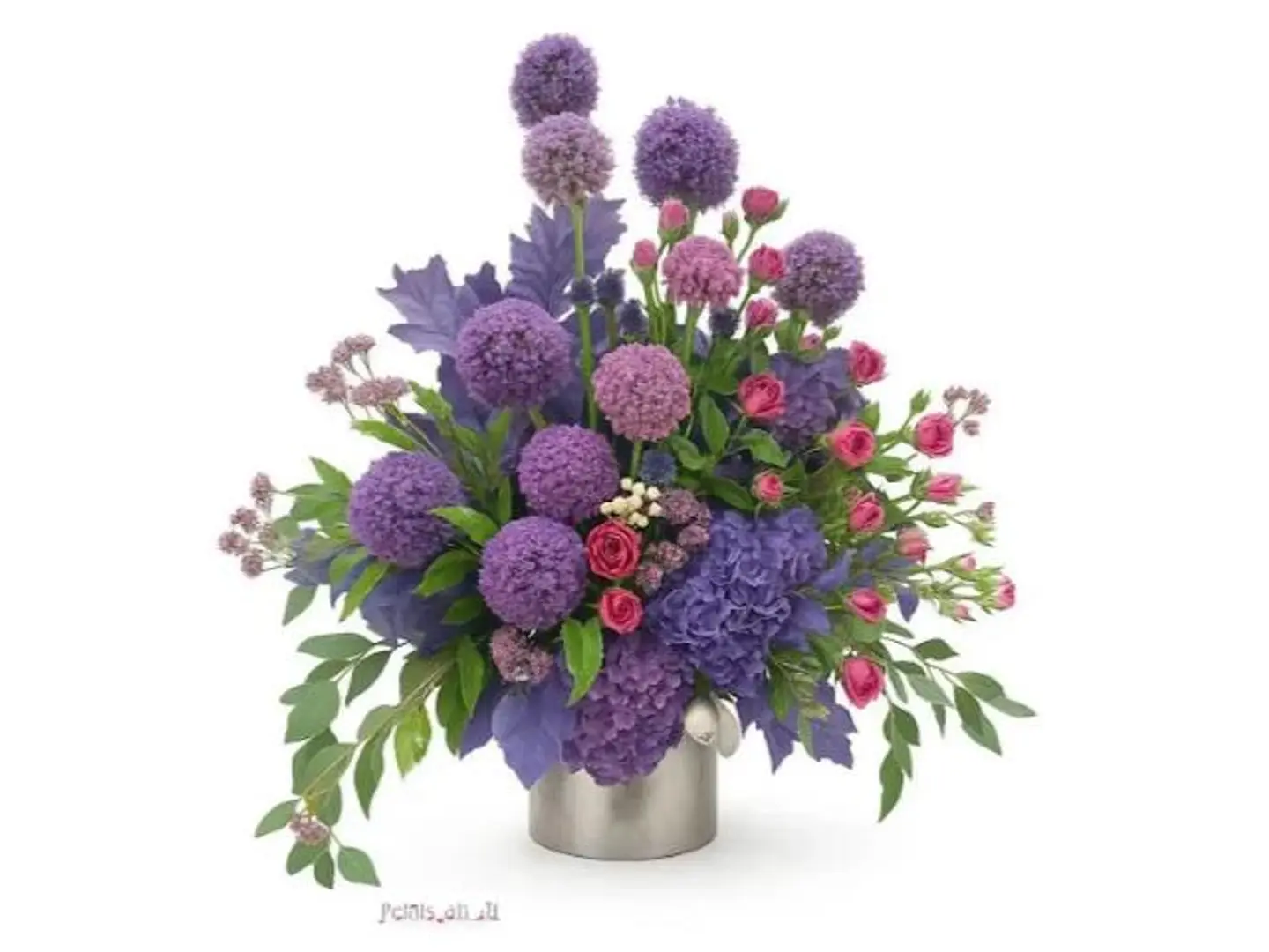 بيل هيدرانجا