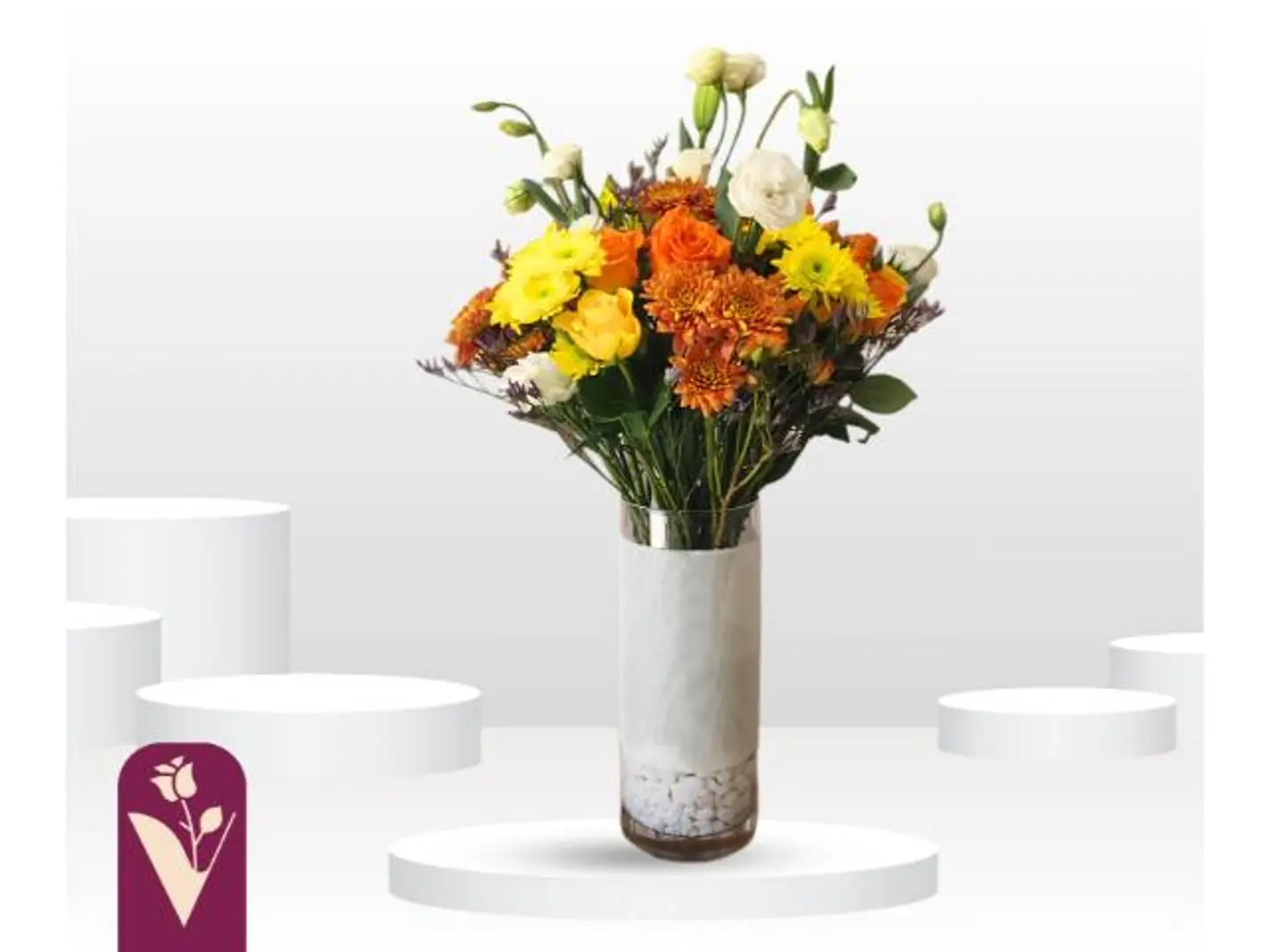 سيرينا فازة