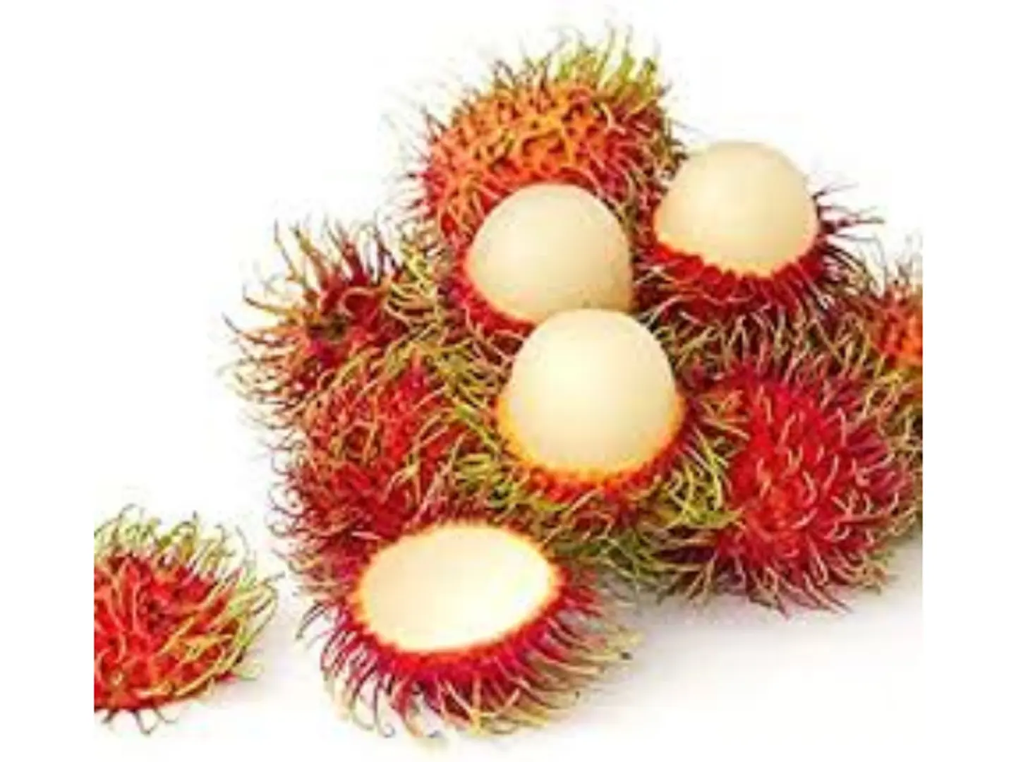 رامبوتان 500جم