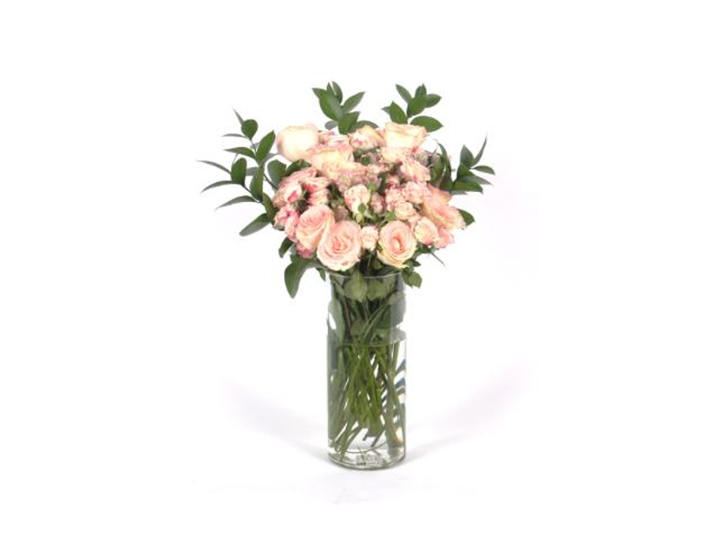 فازة البيبي جوري