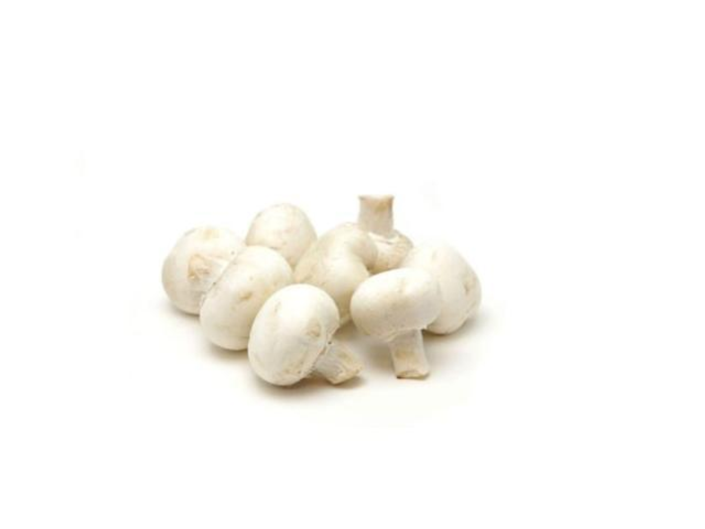 White Mushrooms Can