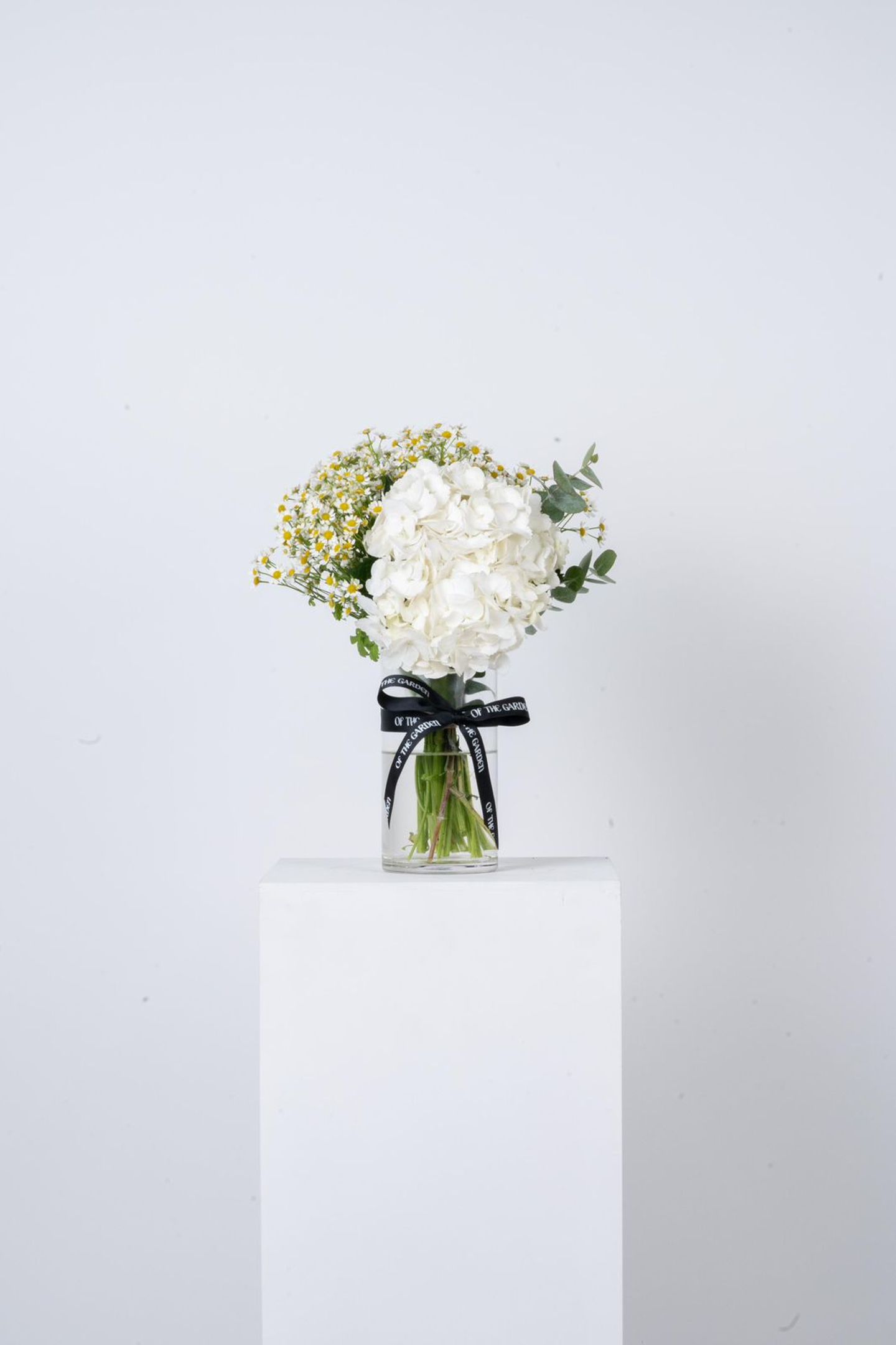 Hydrangea Vase