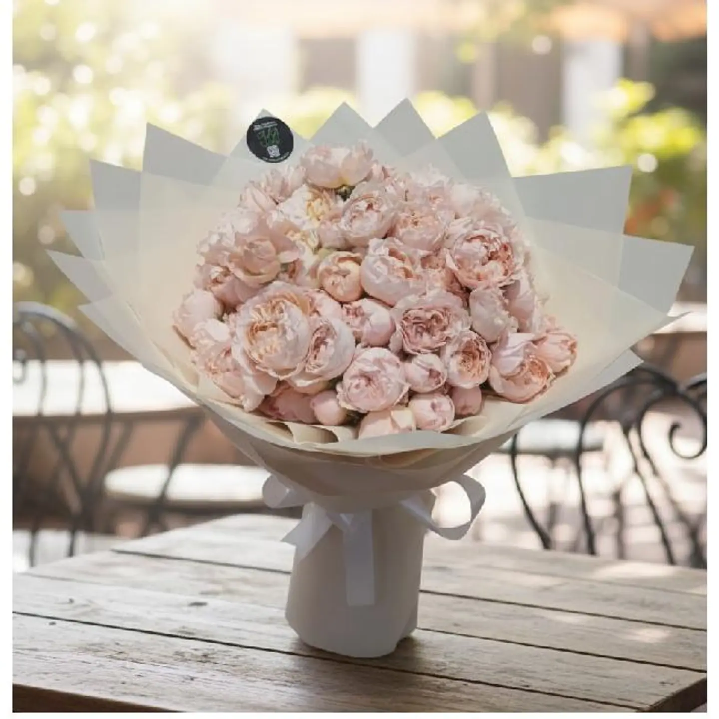 بخاخ صليب الفاوانيا ٢٠ سيقان هولندا