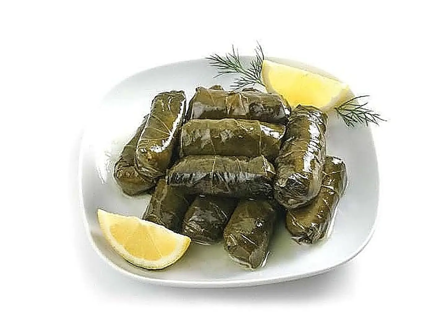 Stuffed Grape Leaves