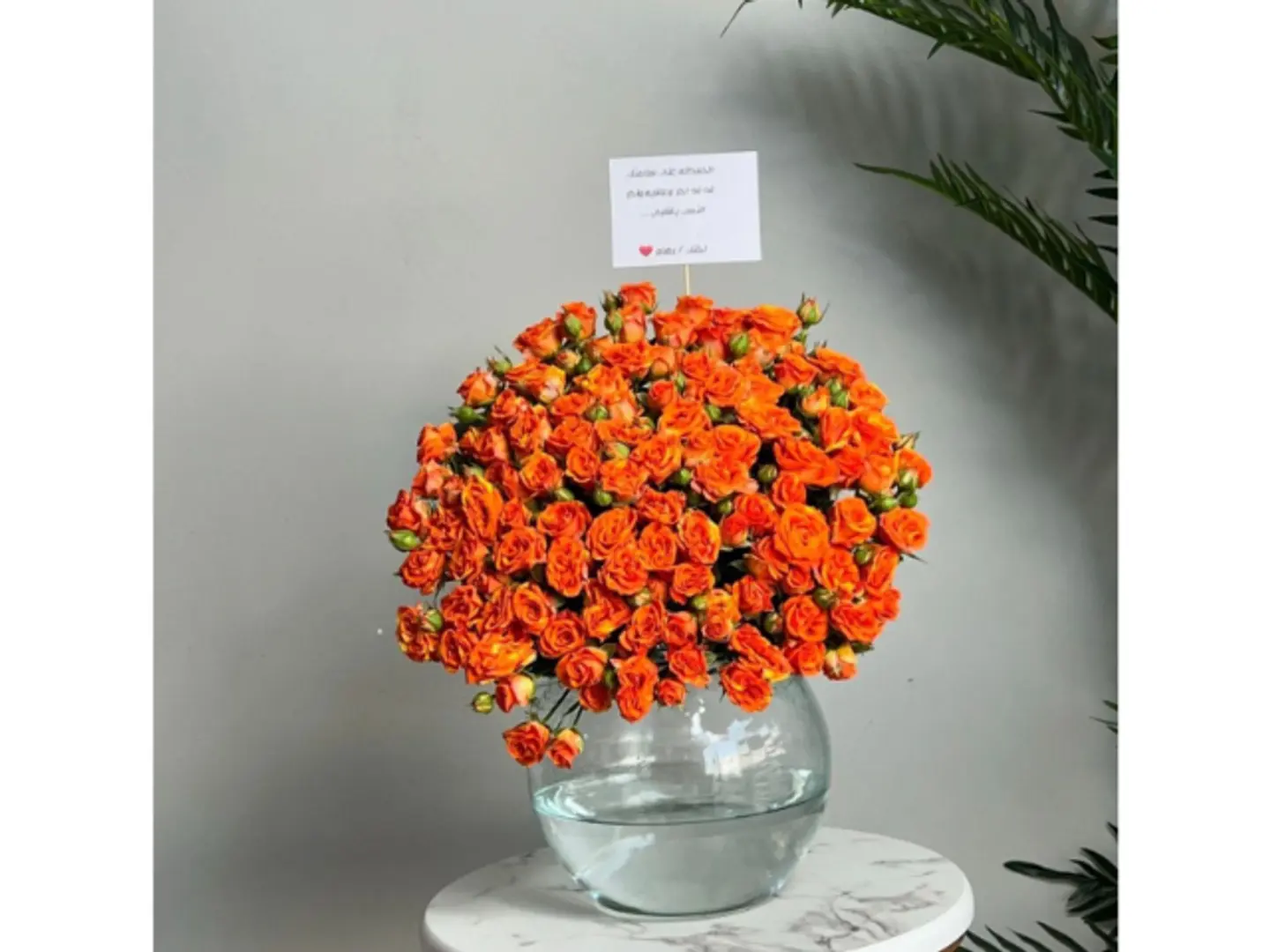 Orange Baby Jori Vase