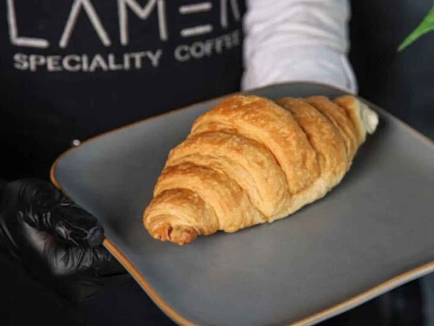 Plain Croissant