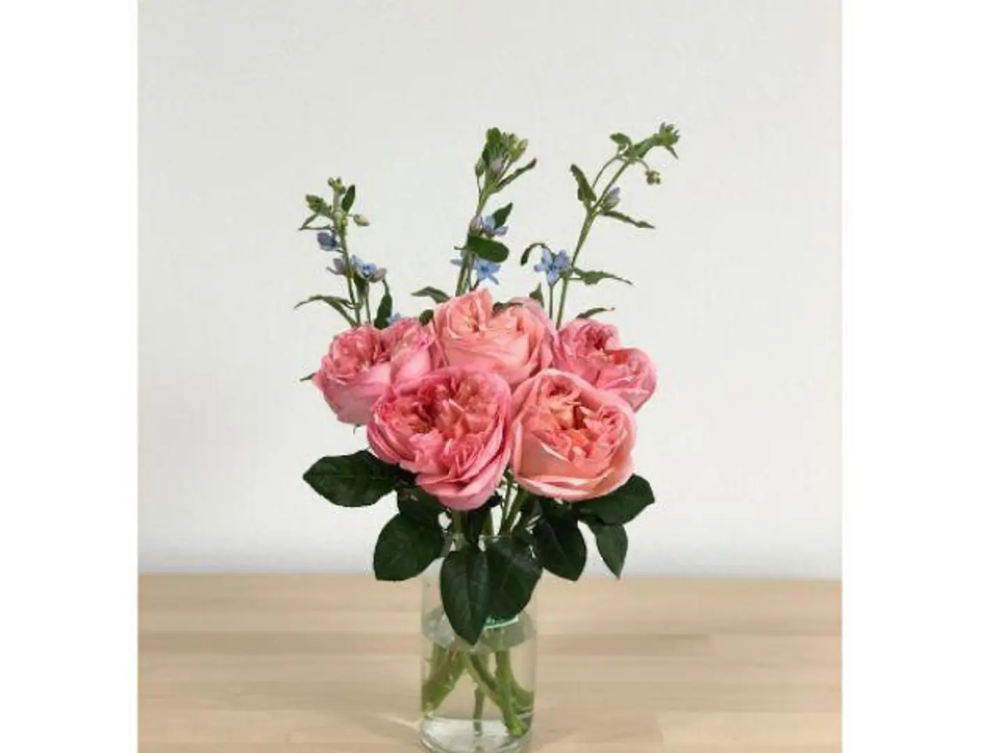 Don’t Check Another Shops X Pression 429