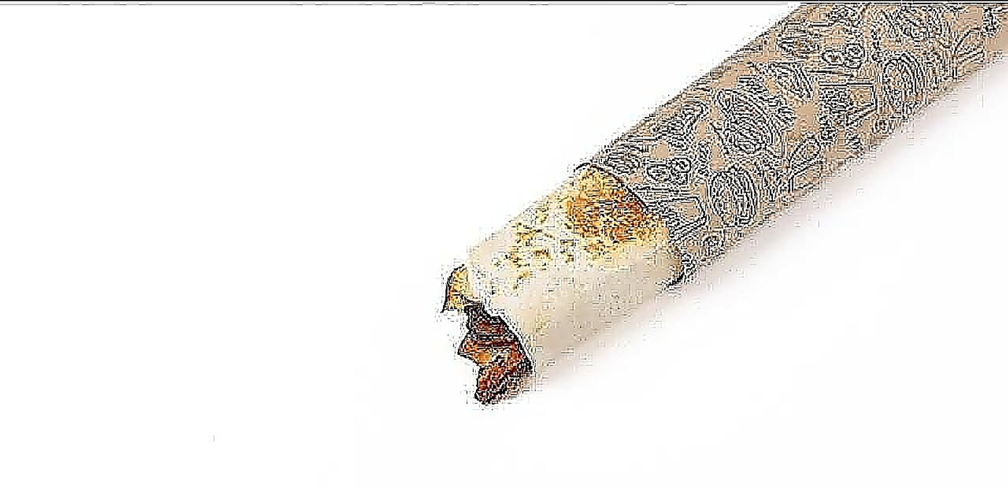 تورتيلا صغير