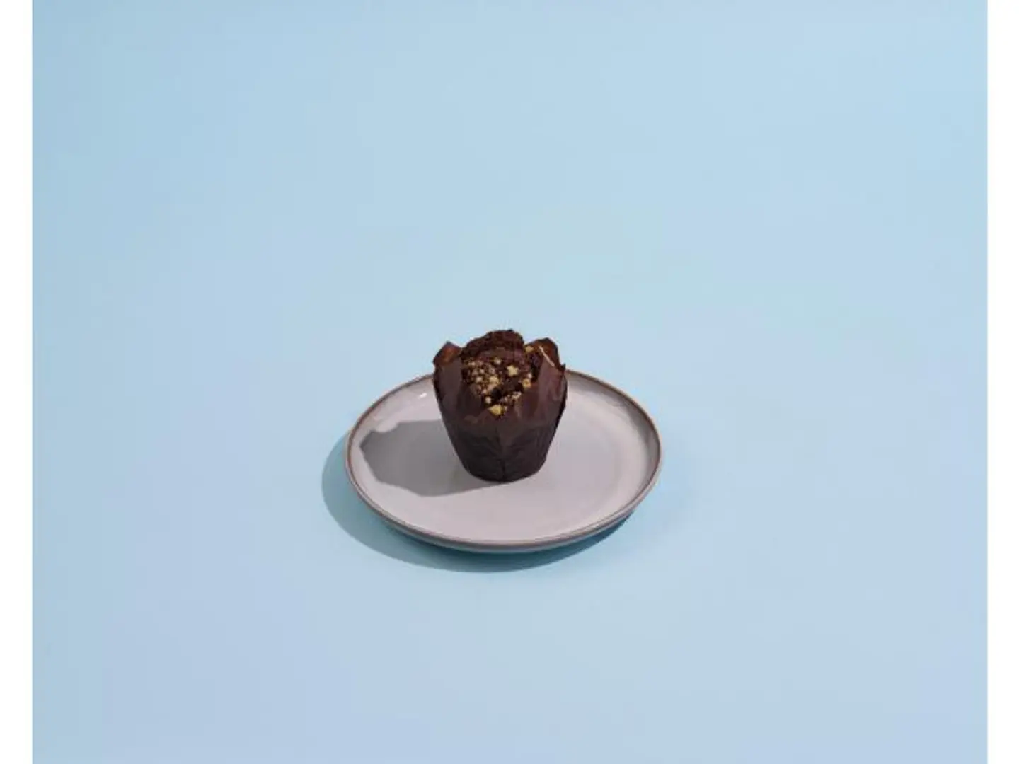 Chocolate Muffin