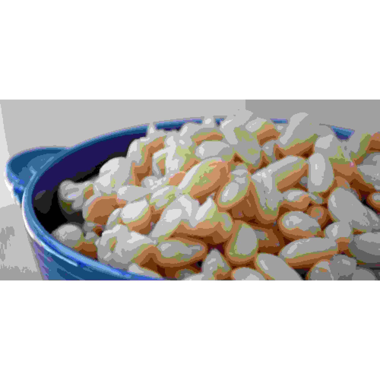 فاصولياء بيضاء