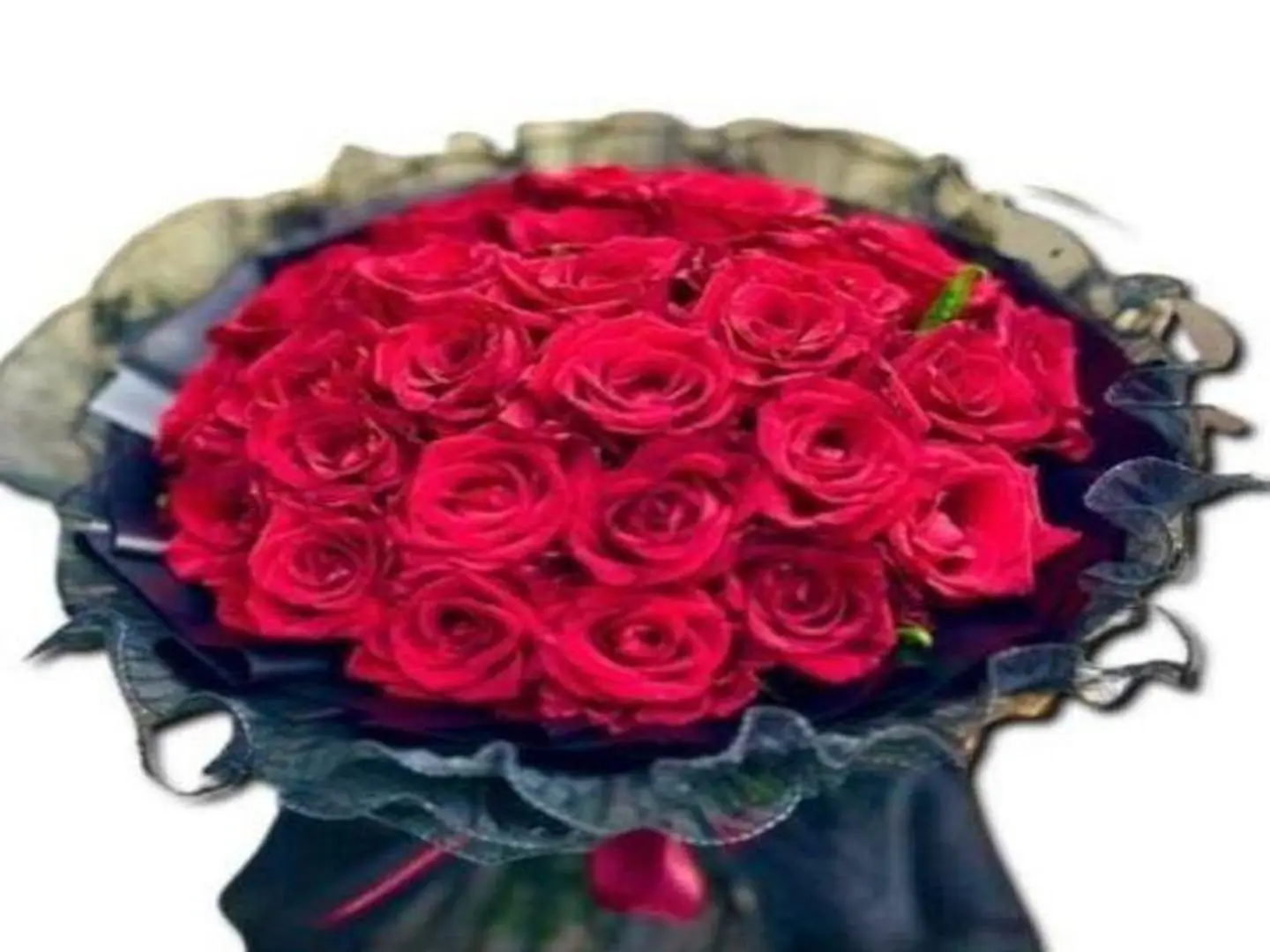 بوكية انا موطنك وانت السلام الذي احتاجه