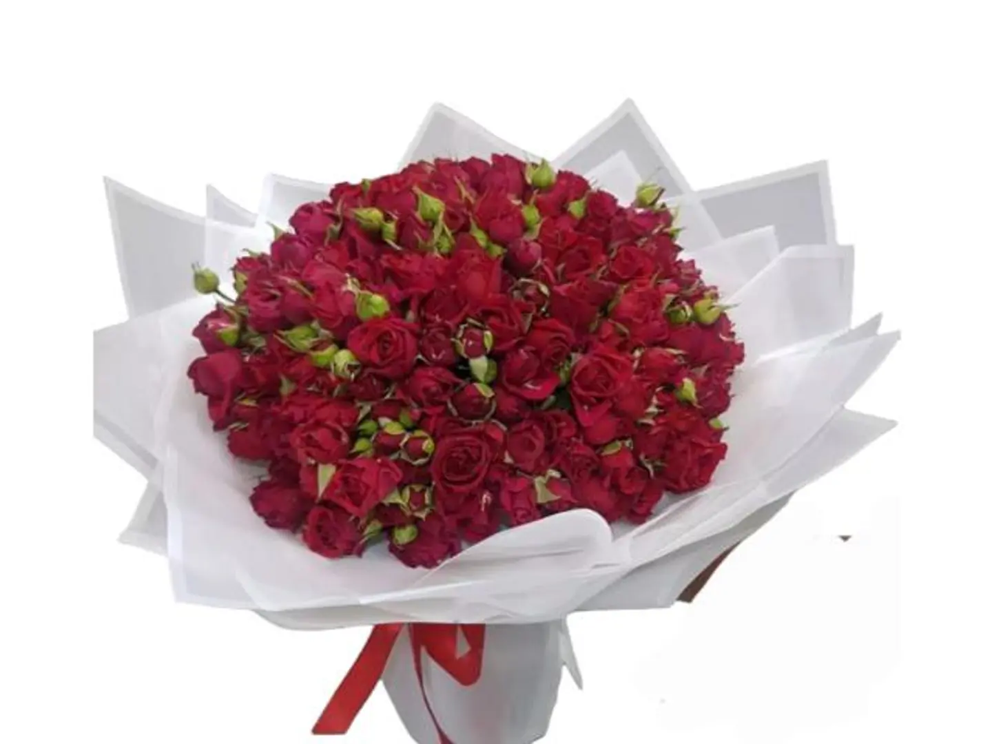 Red Baby Rose Bouquet 71